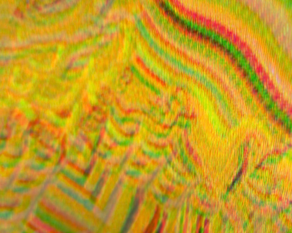 The Beauty In Brocade
